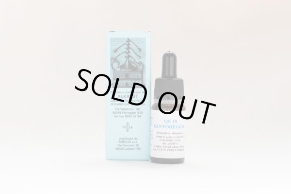 画像1: キダチハッカ (1)