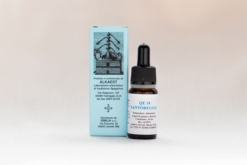 画像: キダチハッカ